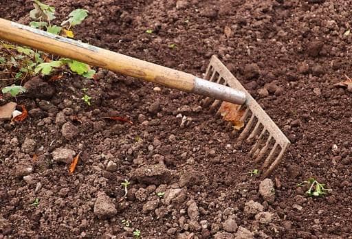 Raking soil